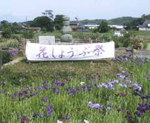 毎月の花しょうぶ池の清掃活動