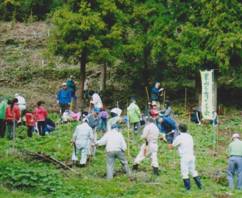 植樹の様子