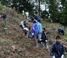 里山保全