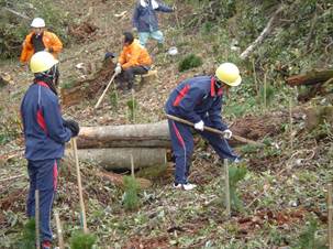 花仙山植林活動