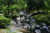 万葉公園 万葉公園