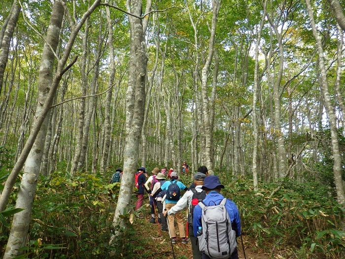 山頂までの最後の登りの画像