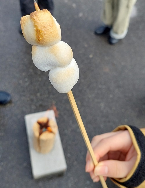 焼きマシュマロの画像