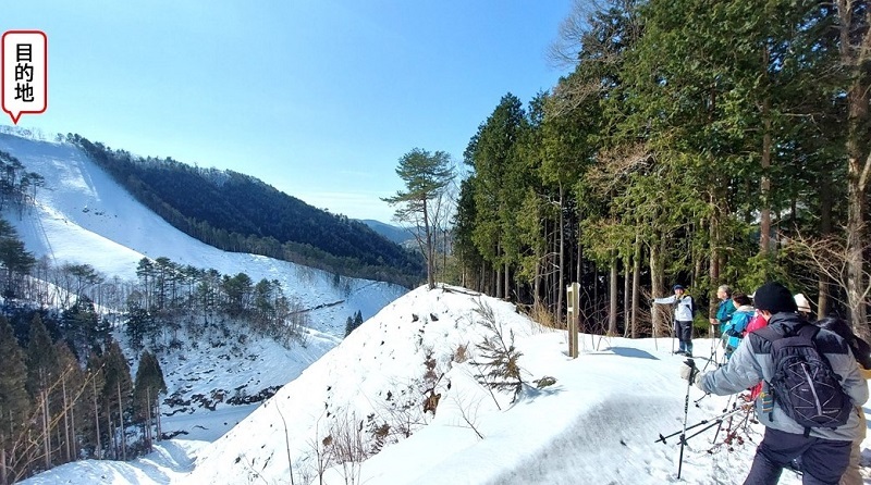 作業道から主伐エリアを眺める画像