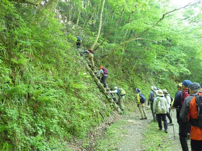 林道にある木製はしごを登る様子