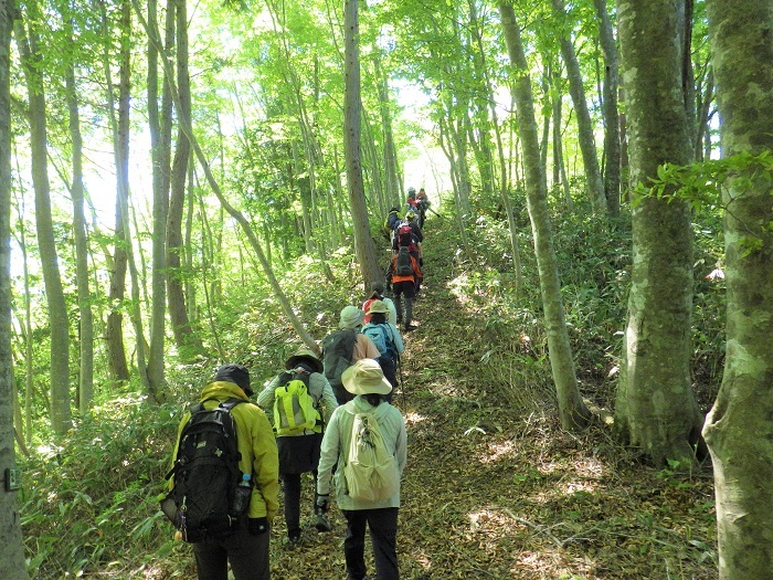 指谷山縦走路の鞍部の様子