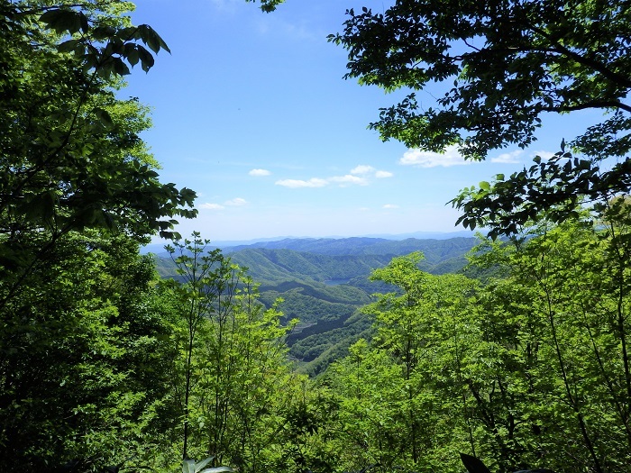指谷山山頂からみえる神ノ瀬湖の画像