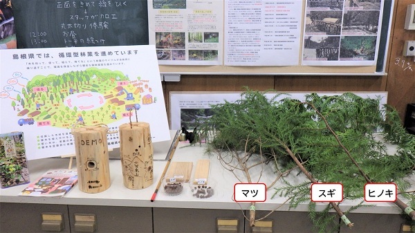 スウェーデントーチ見本と、スギ、ヒノキの葉や板、実