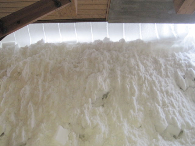 （写真）繋がりました２