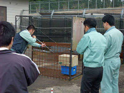 鳥獣スタッフ研修 (写真)鳥獣スタッフ研修2