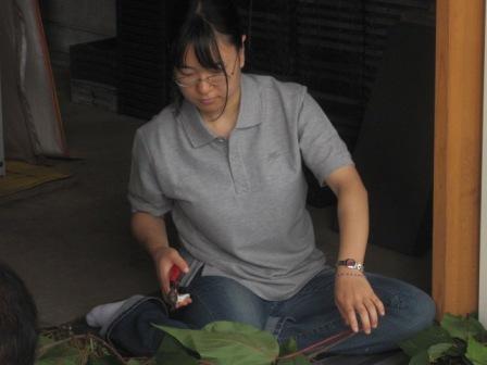 （写真）切り分け作業中