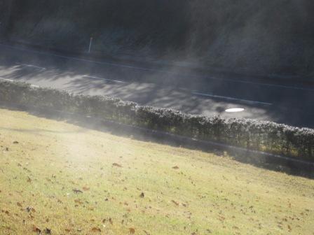 （写真）霜がとけています