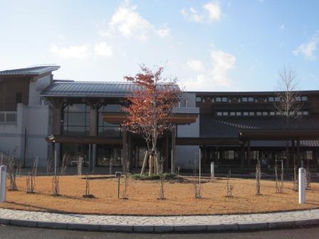 （写真）ヤマボウシ