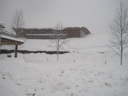 （写真）今朝のセンター２