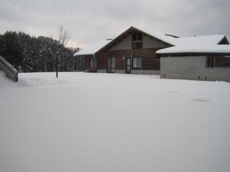 どこを見ても雪 (写真)どこを見ても雪