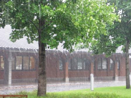 今朝のセンター (写真)今朝のセンター