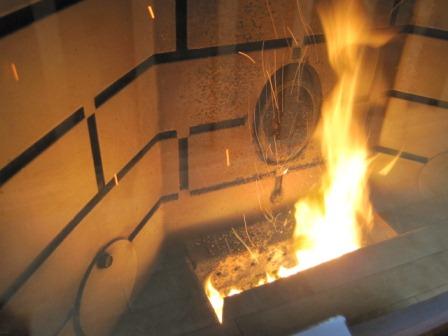 試運転 (写真)炎