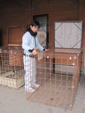 簡易箱ワナ (写真)簡易箱ワナ