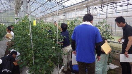 （写真）ハウス内の様子