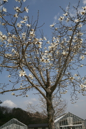写真２