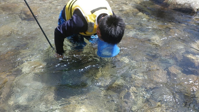 水めがねで水中をのぞく参加者の画像