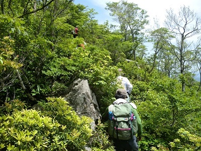 山頂前の岩の道の画像