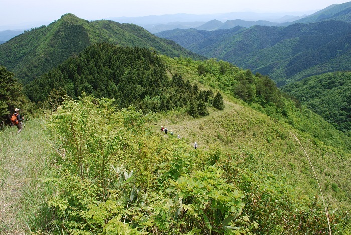 鞍部まで展望の良いジグザグの下りの画像