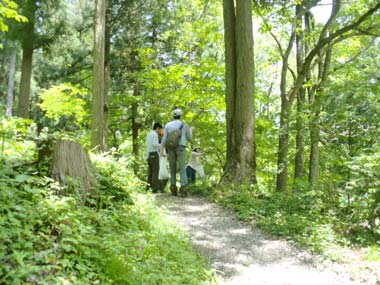 森林インストラクターと一緒に散策の画像