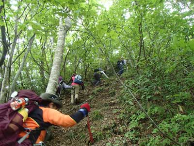 指谷山手前のロープの画像