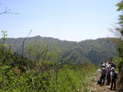 縦走路からところどころ県境の稜線がみえる画像