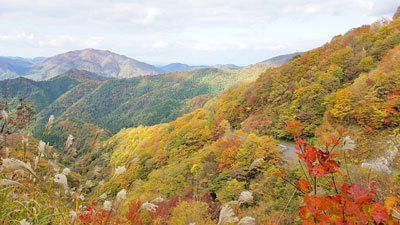 林道草峠線からの眺め