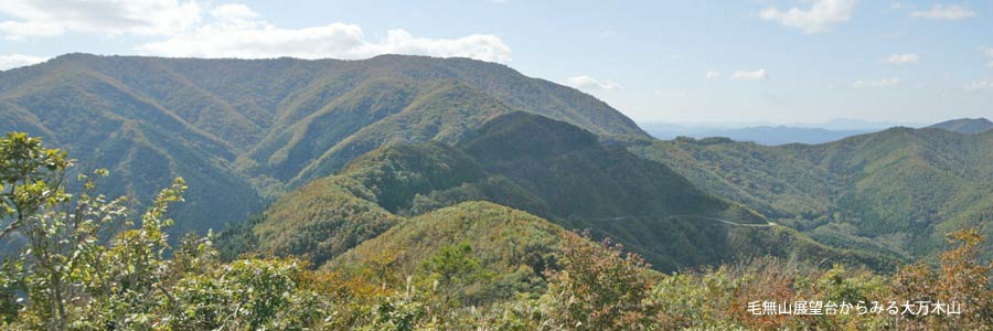 大万木山全景