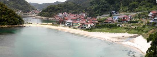 海岸の写真