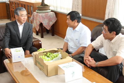 生産状況等について説明を受ける知事