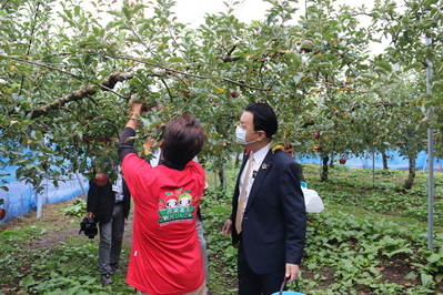 赤来高原観光りんご園」見学のようす