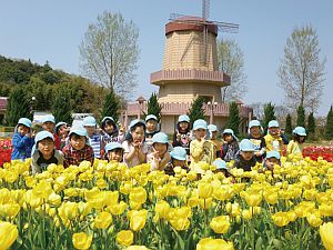 保育所でのお散歩の写真