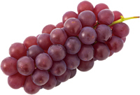 デラウェアの写真