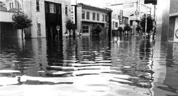松江駅前通りの写真