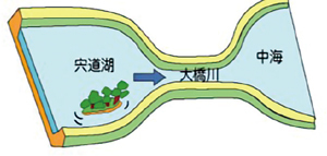 大橋川の拡幅の説明図