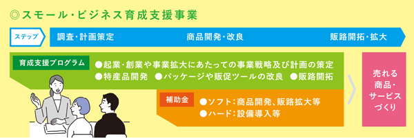 スモール・ビジネス育成支援事業の流れと支援内容の例の説明図