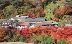 第31回大賞「鉄師櫻井家と内谷大鍛冶山内の景観」の写真