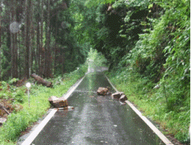 路面の落石 路面の落石