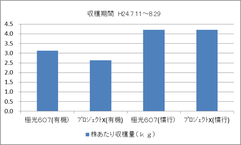 キュウリの収量比較