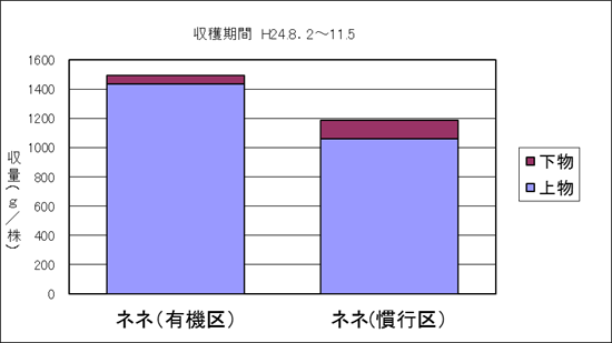 ミニトマトの収量比較