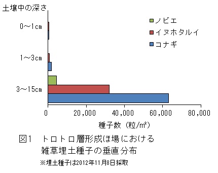 雑草種子垂直分布