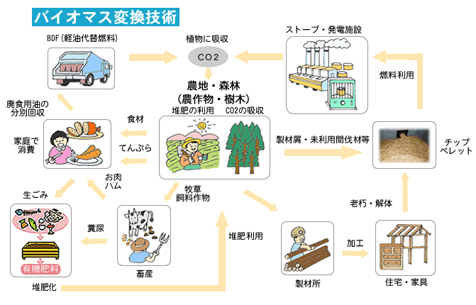 バイオマス変換技術