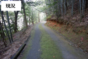 横山農道の現況写真