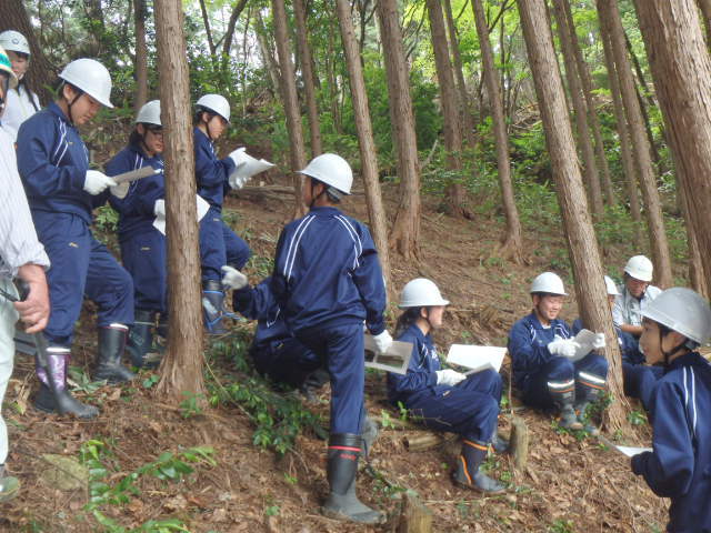 高校生の間伐体験