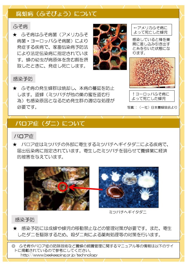 ふそ病について
