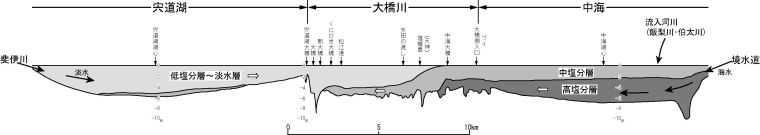 中海から宍道湖にかけての水塊構造